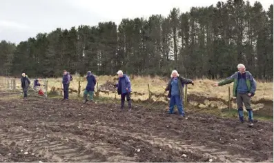  ??  ?? Above: Mesolithic Deeside volunteers preparing to fieldwalk at Nethermill­s Farm