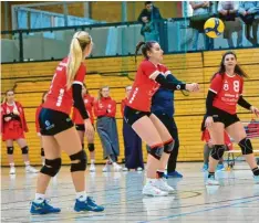  ?? Foto: Elmar Knöchel ?? Einen knappen Sieg gab es für die Volleyball­erinnen des FC Kleinaitin­gen gegen Eibelstadt.