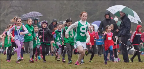  ??  ?? Girls taking part in the under-10 race at the Community Games cross country county finals at Avondale House.