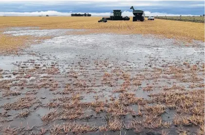  ?? FOTOS: AGENCIA CORONEL DORREGO Y ARCHIVO LA NUEVA. ?? fenómeno de lluvia y granizo sorprendió a Coronel Dorrego en el primer día del corriente año.