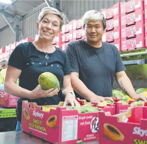  ?? Picture: BRONWYN WHEATCROFT ?? GROWTH INDUSTRY: Skybury Sweet Red Papaya manager Candy MacLaughli­n and sponsored backpacker Tsai (James) Tsung-Lin packing their award-winning papayas.