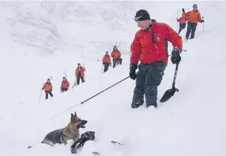  ??  ?? Mike Henderson, his rescue dog, Attila, and Parks Canada rescuers take part in a training exercise.