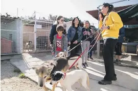 Express Trailers Employees Csr Day At Noah S Ark Pressreader