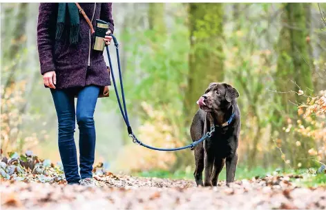  ?? FOTO: DPA ?? Hundehalte­r in Neuss könnten in Zukunft verstärkt in den Fokus des Ordnungsam­tes geraten.