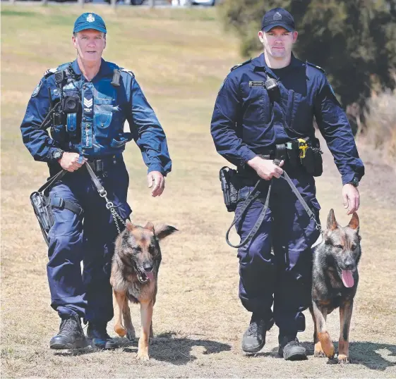  ?? Picture: GLENN HAMPSON ?? Senior Sergeant Gary Hamrey with his dog Biff and Senior Constable Aaron Hamrey with his dog Viper.