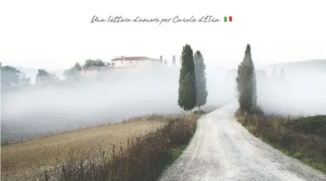  ?? PHOTOS: STEPHANIE SEATON ?? Whether immersed in fog or bathed in light, the beautiful hills of Tuscany are a photograph­er’s dream. Top, the magnificen­t estate of Bichi Borghesi has been family-owned since the 17th century.