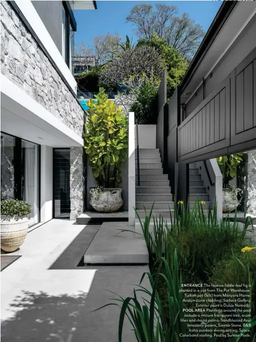  ??  ?? planted ENTRANCE in a pot The from feature The Pot fiddle- Warehouse. leaf fig is Turkish pot (left) from Manyara Home. Avalon stone cladding, Surface Gallery. Exterior paint is Dulux Namadji.
POOL AREA Plantings around the pool include a mature frangipani tree, arum lilies and rhapis palms. Sandblaste­d Azul limestone pavers, Sareen Stone. B&B Italia outdoor dining setting, Space. Colorbond roofing. Pool by Sunrise Pools.