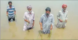  ?? PTI ?? Farmers show the damaged paddy crop in their field after heavy rain at Jattan Kheran village near Patiala in Wednesday.