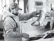  ?? ROBERT F. BUKATY/AP ?? A worker weighs and sorts pollack in March at the Portland Fish Exchange in Maine.