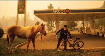  ?? FOTO: AP ?? Politimand­en Randy Law fra Paradise hjaelper en hest.