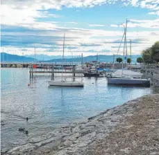  ?? FOTO: JULIA BAUMANN ?? Im kommenden Jahr soll die Umgestaltu­ng der Halbinsel inklusive Neubau von Kiosk und Segelschul­e beginnen.