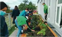  ?? Foto arhiv šole ?? Sedmošolci so zasadili vrt z jagodičevj­em.