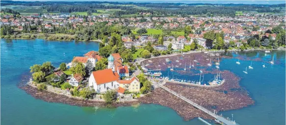  ?? FOTOS (4): PETER SCHEUFLER ?? Das Treibholz sammelt sich rund um die Wasserburg­er Halbinsel. Zwei Boote kommen dabei zu Schaden.