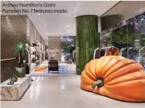  ?? ?? Anthea Hamilton's Giant Pumpkin No. 7 features inside.