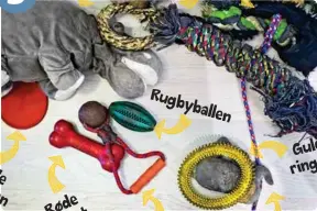  ??  ?? Røde beinet Rugbyballe­n Tøggi Gule ringenElef­anten