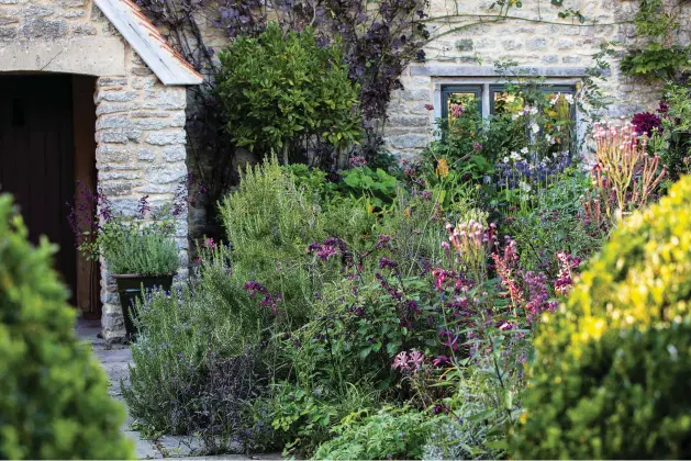  ??  ?? Above The path to the front door is the ideal place for intricate plantings of small and unusual subjects – where both the flowers themselves and the passage of the seasons can be observed in detail. Here Patricia grows delicately coloured verbenas, nerines and sweet Williams (Dianthus barbatus) along with deliciousl­y fragrant Salvia Love and Wishes (= ‘Serendip6’), lavenders and rosemary.