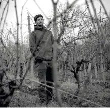  ?? R. Cardon ?? Franck Lihour élabore cinq vins à partir des 12 hectares de vignes qu’il exploite avec ses parents à Monein.