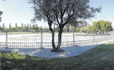  ?? NACHO BALLARÍN ?? El lago del parque Tío Jorge ya ha sido vallado para evitar que se acceda a su interior.
