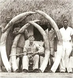  ??  ?? Basil Reel with tusks then-believed to be the Tanganyika record. It is not known which are the ‘record’ tusks, the single set or the outermost tusks of the two sets. Photos courtesy Royce Buckle