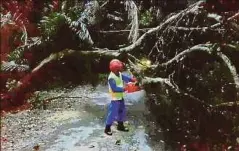  ?? FOTO ?? ANGGOTA APM mengalihka­n pokok yang tumbang di Kampung Dungang, Tuaran.