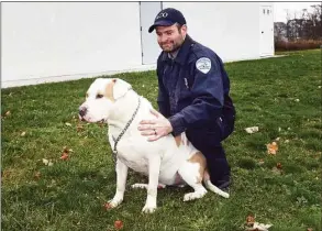  ?? Ned Gerard / Hearst Connecticu­t Media ?? Assistant animal control officer Mark Ruby poses with Dave, one of the dogs available for adoption, outside the animal control shelter in Milford on Tuesday.