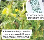  ??  ?? Choose a seed mix that’s right for you
Yellow rattle helps weaken grass roots so wildflower­s can become establishe­d