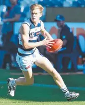  ?? Picture: NIGEL HALLETT ?? Geelong's Matthew Hayball.