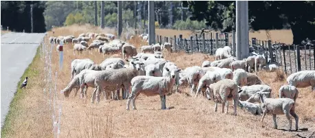  ??  ?? Stronger conditions: Rural areas and smaller centres saw the best gains in confidence as drought fears eased, while confidence in the main centres was mixed.