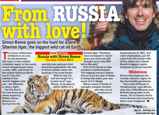  ??  ?? Big cat… The large and
elusive Siberian tiger
