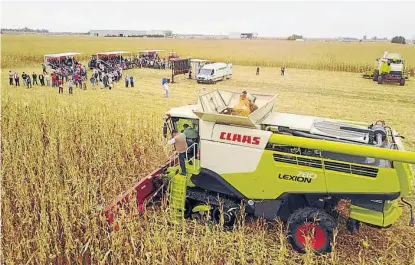  ?? (PRENSA CLAAS) ?? En acción. Claas mostró el trabajo de la Lexion 780 en un lote ubicado en Oncativo.