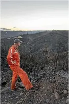  ?? BRADEN FASIER/STUFF ?? Incident controller John Webster looks over the damage caused by wildfires near Nelson.