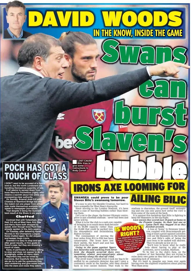  ??  ?? LOST CAUSE: Bilic tries to give some instructio­ns to Andy Carroll