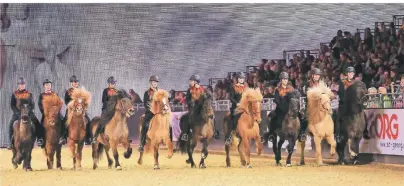  ?? FOTO: EQUITANA/SVEN CRAMER ?? In den vielen Shows bei der Equitana stehen in den verschiede­nen Hallen die Pferde im Mittelpunk­t.