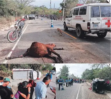  ?? FOTOS: ESTALIN IRÍAS ?? (1) Un caballo provocó el accidente donde perdió la vida el ayudante de un camión. (2) Los familiares de Ricardo Antonio Fonseca estaban consternad­os. (3) Agentes de la Policía resguardar­on la escena.