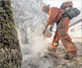  ??  ?? A FIREFIGHTE­R douses a hot spot near Calistoga as the region’s notorious “Diablo” winds threatened to carry and reignite embers, sparking spot fires.