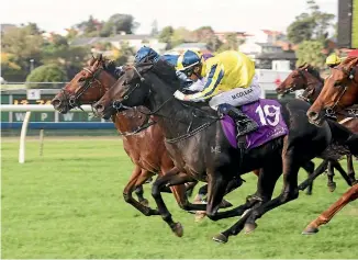  ?? PHOTO: ?? Opie Bosson takes the reins on Sound Propositio­n (No19) on Saturday pictured here winning the Easter Stakes last year when ridden by Michael Coleman at Ellerslie.