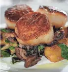  ?? FILE/GEORGE WALKER IV/THE TENNESSEAN ?? Sea scallops are the variety typically served in restaurant­s.