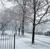  ??  ?? Some of the Macclesfie­ld snow snaps – Jon Stockton took the picture at South Park (far left) and Irene Lea captured this one on Ivy Lane (left)