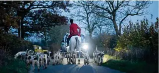  ?? ?? Foxhounds and riders travel along a country lane.