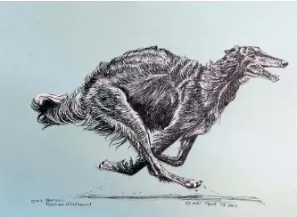  ?? SPECIAL TO THE EXAMINER ?? Drawing of Borzoi-Russian Wolf Hound by Indi Miskolczi will be on display, along with paintings by Eddie LePage and Silvia Ferreri, in the Heritage Room at The Mount Community Centre.