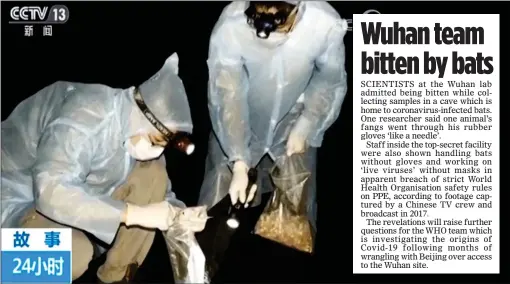  ??  ?? EVIDENCE: Researcher­s in thin coveralls and rubber gloves handle bats while gathering samples in a clip filmed by a Chinese television crew