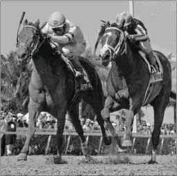  ?? BARBARA D. LIVINGSTON ?? Stanford (right) battles eventual winner Imperative in the Poseidon. Stanford earned a 103 Beyer Speed Figure that day.