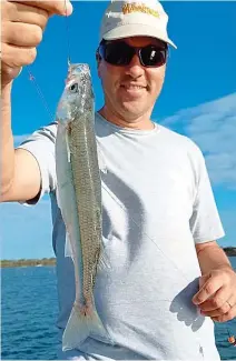  ??  ?? EL titular de Puerto Pilar luce un lindo ejemplar de pejerrey capturado a primeras horas de la tarde. Centro: el autor con otro ejemplar pescado a 50 cm de profundida­d.