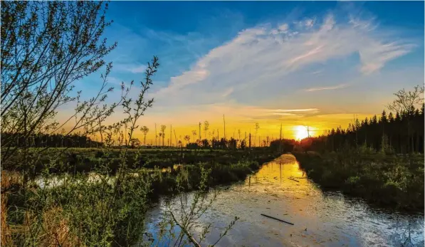  ?? Foto: Robert Hoiss ?? Das Haspelmoor hat als Landschaft einen ganz speziellen Reiz, den Fotograf Robert Hoiss in seinen Naturaufna­hmen festhält. Etliche davon finden sich in dem neuen Buch über das Haspelmoor, seine Geschichte und seine Bewohner, das vor Kurzem veröffentl­icht wurde.