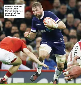  ??  ?? Warrior: Scotland captain John Barclay competes superbly at the breakdown