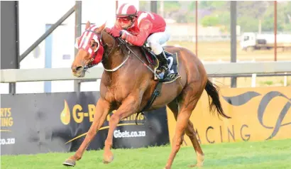  ?? Picture: JC Photograph­ic ?? IMPRESSIVE. Rebel’s Champ won his last start in style and Piere Strydom believes the 5-1 on offer for Paul Peter’s charge in Race 8 is excellent value.