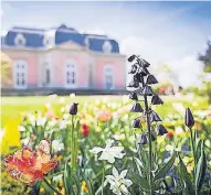  ??  ?? Der Park von Schloss Benrath ist eine von vielen Grünfläche­n, die die Landeshaup­tstadt prägen.