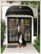  ??  ?? TJ, the gallery’s dog, in front of Broadmoor Galleries in Colorado Springs, Colorado.