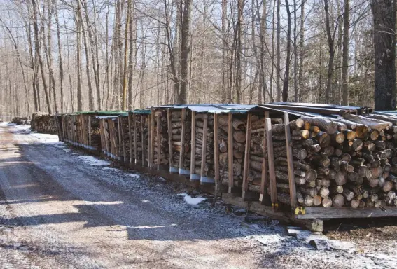  ??  ?? An 18-inch chainsaw is an ideal length for splitting firewood.