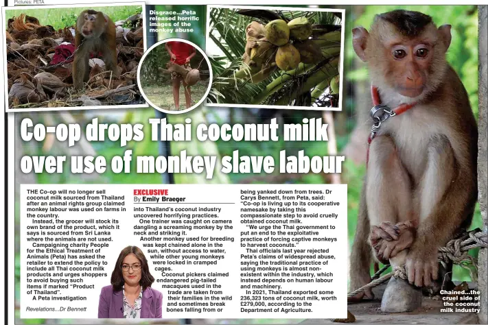  ?? Pictures: PETA ?? Revelation­s...Dr Bennett
Disgrace...Peta released horrific images of the monkey abuse
Chained...the cruel side of the coconut milk industry